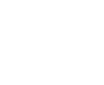 Silicon Foundry